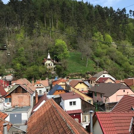Casa Mountain View Braşov Exterior foto