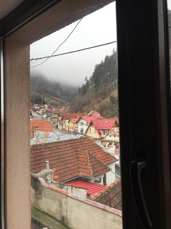 Casa Mountain View Braşov Exterior foto