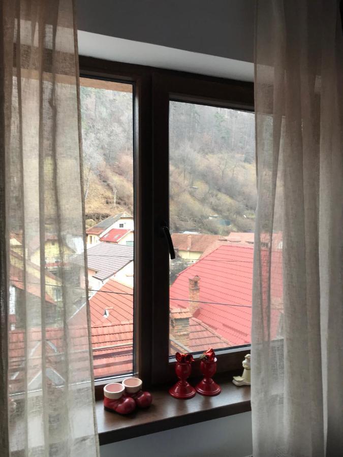 Casa Mountain View Braşov Exterior foto