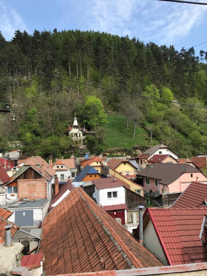 Casa Mountain View Braşov Exterior foto