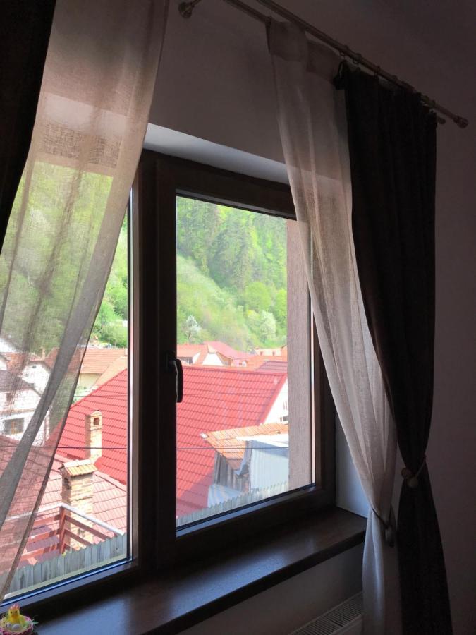 Casa Mountain View Braşov Exterior foto